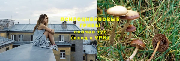 альфа пвп Володарск