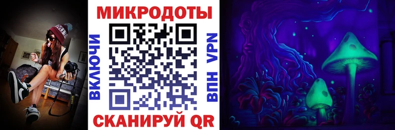 Галлюциногенные грибы ЛСД  MEGA сайт  Чкаловск 